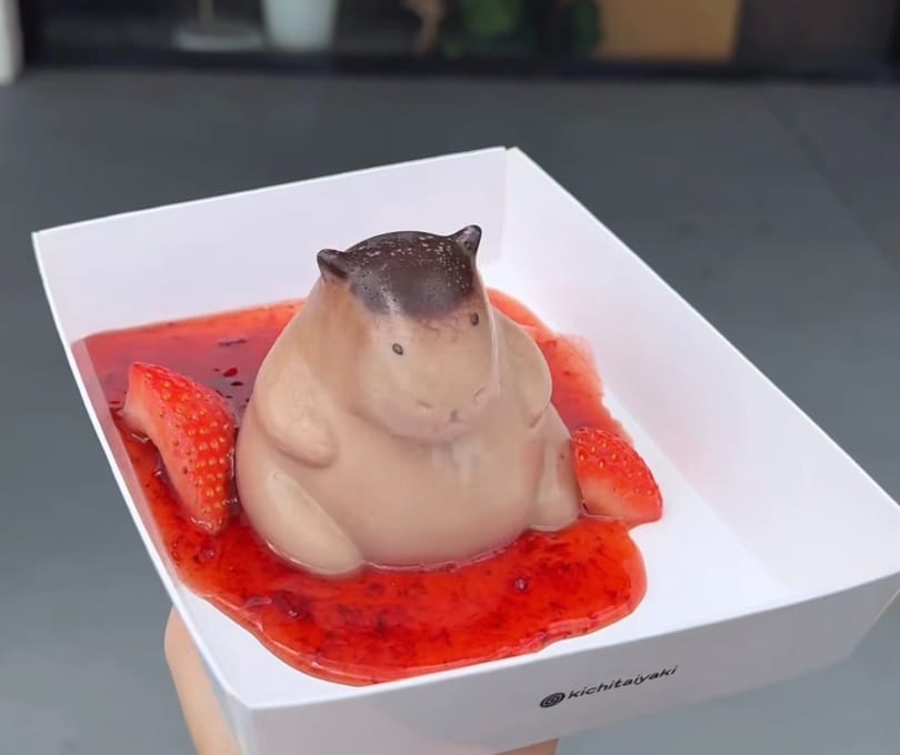 Kichitaiyaki's hippo-shaped pudding dessert with strawberry sauce and fresh strawberries.