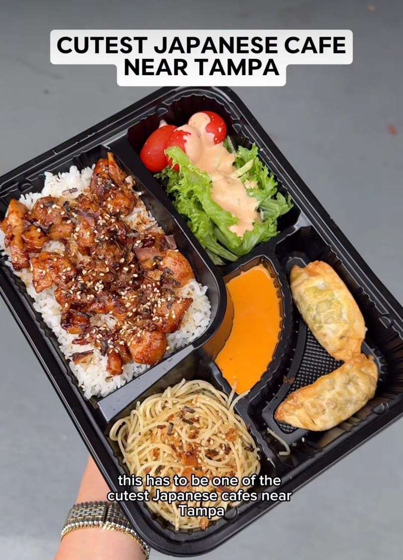 Japanese bento box with chicken, rice, salad, dumplings, noodles, and dipping sauce.